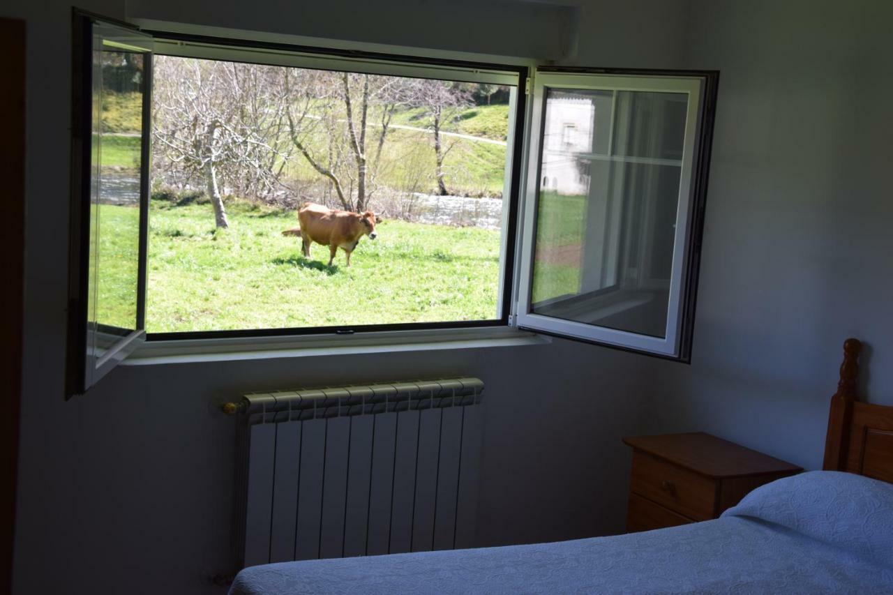 Apartamentos Arredondo Екстер'єр фото